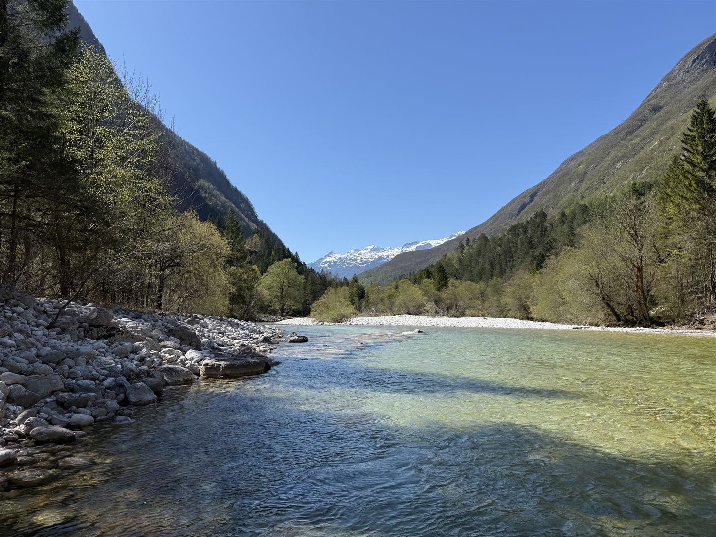 A clear alpine river running between forested slopes below snow-covered peaks, Slovenia